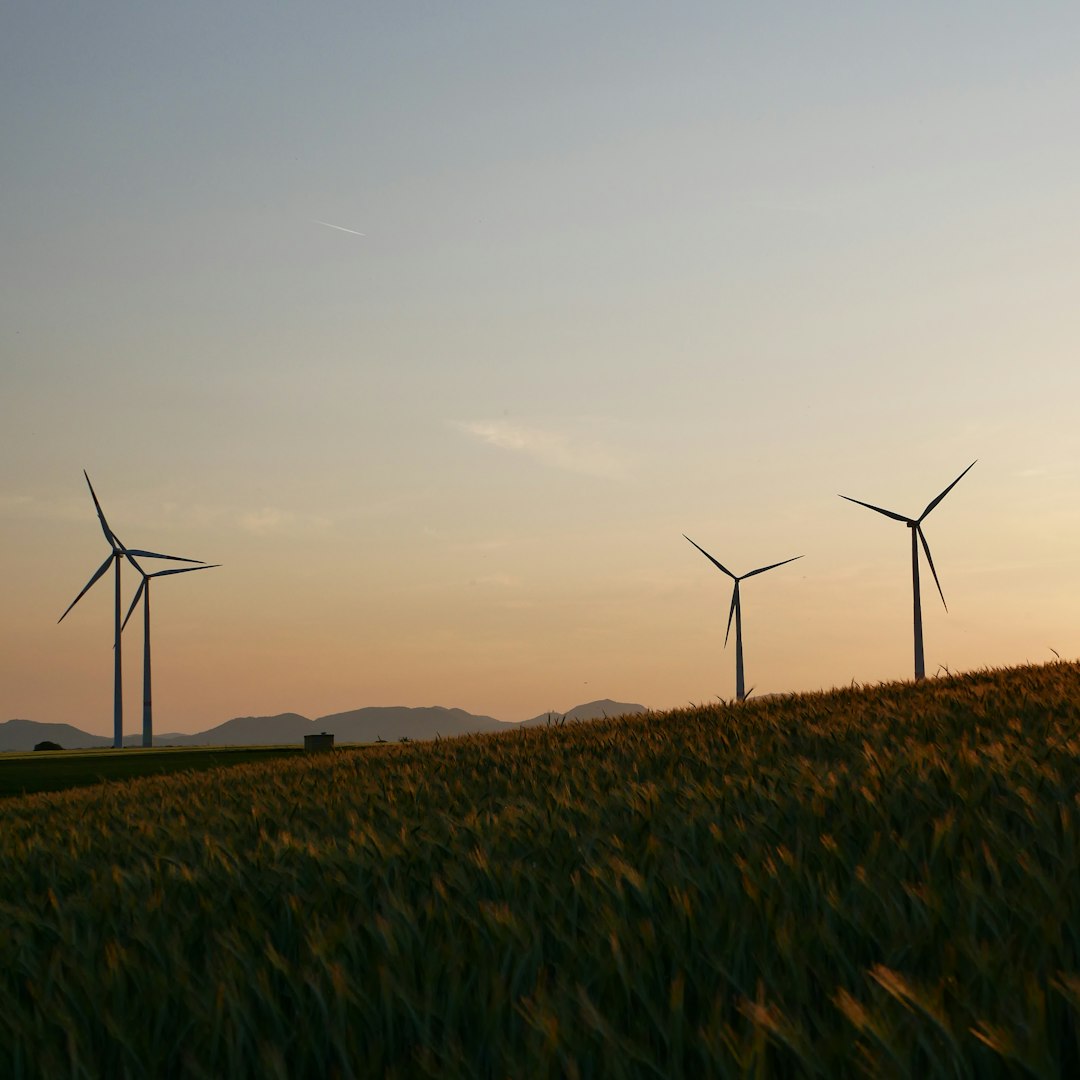 Avances tecnológicos: ¡Descubre el futuro hoy mismo!