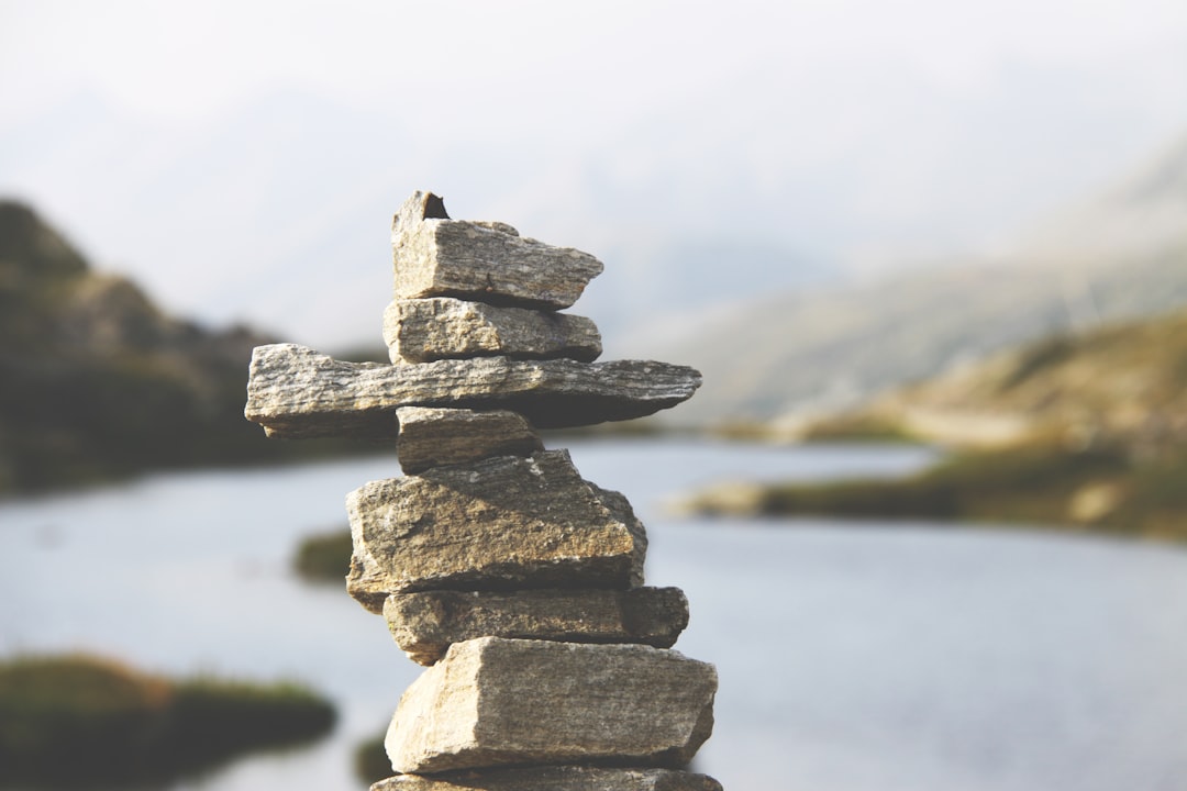 vida equilibrada imagen 1